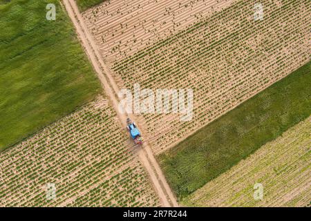 Drone shot of tractor in agricultural field Stock Photo