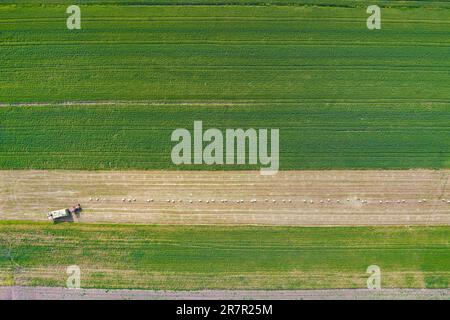 Aerial view of tractor on harvest field, drone shot Stock Photo