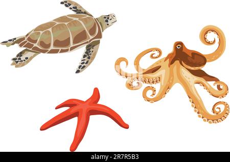 Turtle, octopus and starfish illustrations isolated on white background Stock Vector