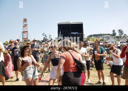 Black Deer Festival, Kent, UK - 16th June 2023 Crowd enjoy live music on the main stage in the sun at Black Derr Festival. Credit Jill O'Donnell/Alamy Live News Stock Photo