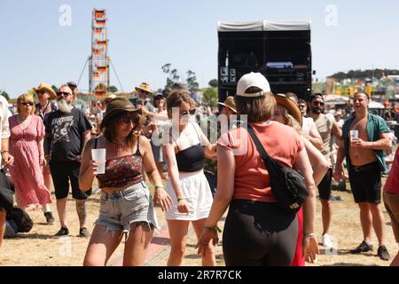 Black Deer Festival, Kent, UK - 16th June 2023 Crowd enjoy live music on the main stage in the sun at Black Derr Festival. Credit Jill O'Donnell/Alamy Live News Stock Photo