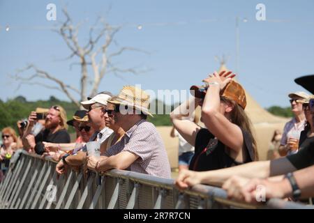 Black Deer Festival, Kent, UK - 16th June 2023 Crowd enjoy live music on the main stage in the sun at Black Derr Festival. Credit Jill O'Donnell/Alamy Live News Stock Photo