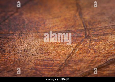 Extreme closeup of crumpled brass foil texture. Selective soft focus, shallow depth of field. Stock Photo