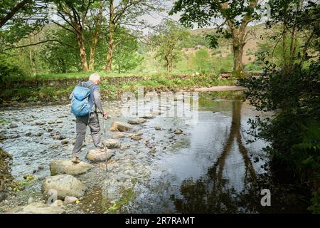 A male senior citizen uses the stepping stones across the river Derwent near Rosthwaite, Borrowdale valley, Lake District, Cumbria, England. Stock Photo