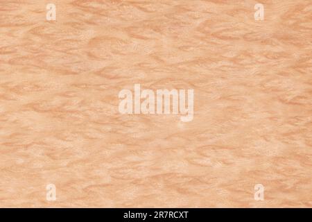 Light brown burled wood veneer. Meant as wood textured background. Stock Photo