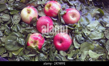 Pink Lady apples washing in a sink with spinach during food preparation in an English kitchen Stock Photo