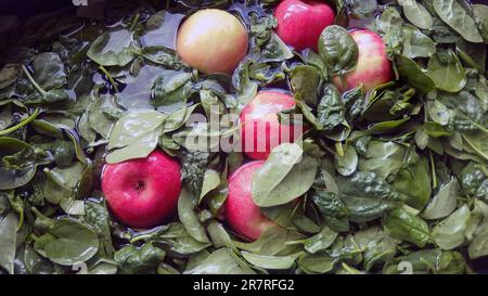 Pink Lady apples washing in a sink with spinach during food preparation in an English kitchen Stock Photo