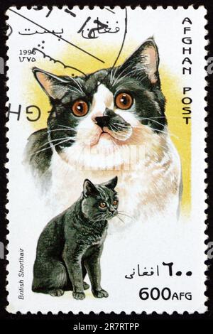 AFGHANISTAN - CIRCA 1996: a stamp printed in Afghanistan shows British shorthair, felis silvestris catus, domestic cat, circa 1996 Stock Photo