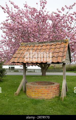 Adderstone, UK - May 6 2023:  Traditional, old fashioned brick wishing well with tiled roof and cherry blossom tree. Stock Photo
