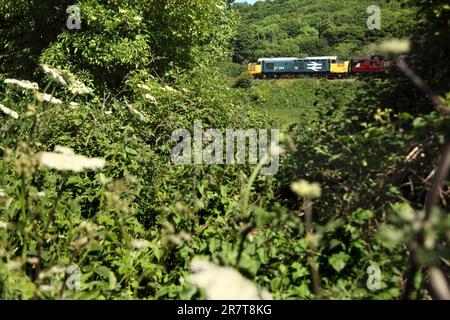 Preserved Class 37 diesel locomotive 37264 passes Esk Valley shortly before arriving at Grosmont station on the North Yorkshire Moors Railway. Stock Photo