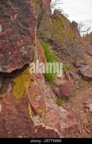 Mountains beauty in Boulder Colorado Stock Photo