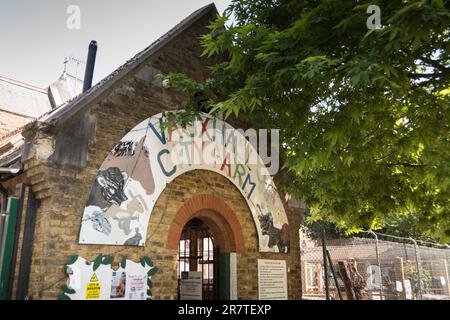 Vauxhall City Farm, Tyers Street, London, SE11, England, UK Stock Photo