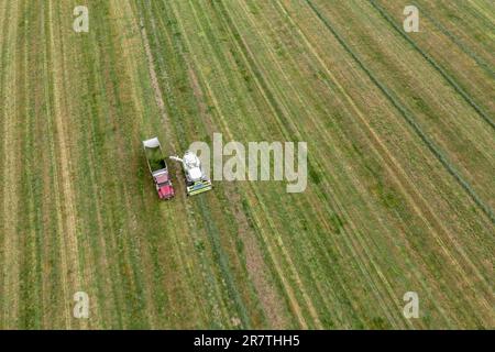 Clymer, New York, Alfalfa harvest on a farm in western New York Stock Photo