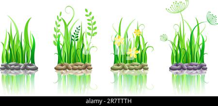 green grass on stone ground icon set. Vector illustration with reflection isolated on white Stock Vector