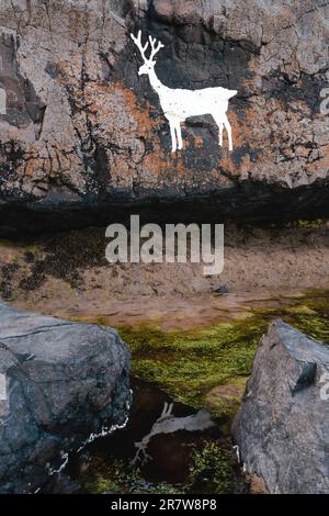 Stag Rock at Blackrocks Point at Bamburgh, Northumberland Stock Photo