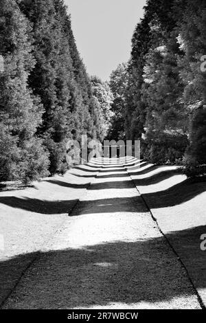 Shadows on path Stock Photo