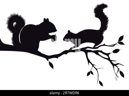 squirrels on tree branch, vector background Stock Vector