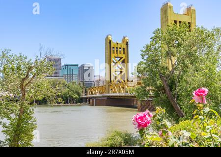 Sacramento, CA - May 25, 2023: City skyline and Tower Bridge of Sacramento from the Riverwalk Trail Stock Photo