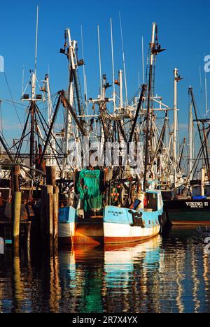 The commercial fishing fleet in moored at a marina in the harbor at Point Pleasant, New Jersey on the Jersey Shore Stock Photo