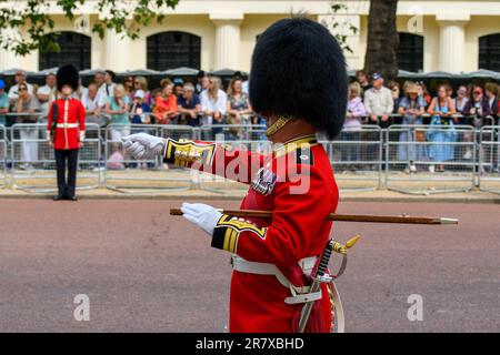 London, UK, 17th June 2023, The crowds gathered after a slow start on the Mall for the first King's  Official Birthday. The Trooping the Colour took place at Horse Guards Parade, with the King riding a horse, along with Prince William, Princes Anne and Prince Edward. A flypast of the red arrows took place with the traditional wave from the Buckingham Palace balcony. , Andrew Lalchan Photography/Alamy Live News Stock Photo