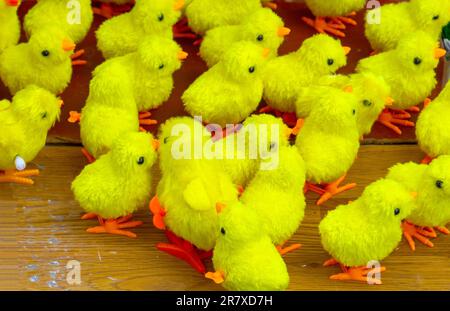 Small yellow chicks toys used as decoration for numerous holidays Stock Photo