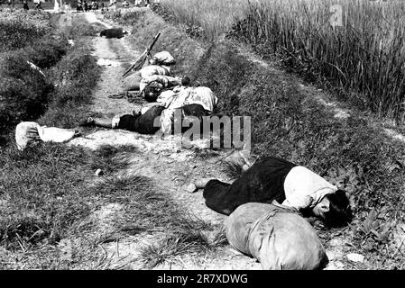 Korean civilians fleeing from the North Korean forces, killed when caught in the line of fire during night attack by guerrilla forces near Yongsan.  August 25, 1950. Stock Photo