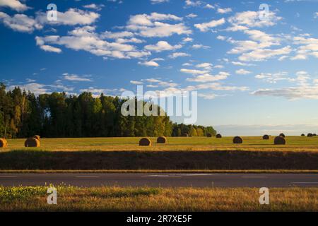 A strip of asphalt gives way to a meadow on which stacks of freshly cut hay, and behind them a forest edge and a sky with white curly clouds. Stock Photo