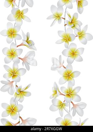 Tropical necklace seamless border. Lei flowers. Vector Illustration Stock Vector