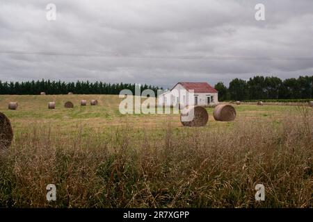 White wooden building with a red roof in a rural farming and vineyard village. Martinborough, New Zealand. Stock Photo