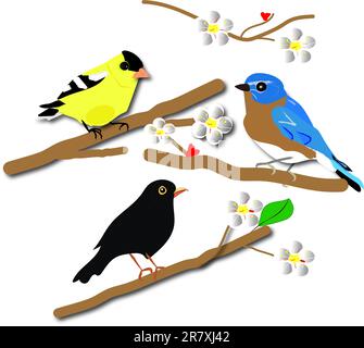 three birds on branches of flowering tree Stock Photo