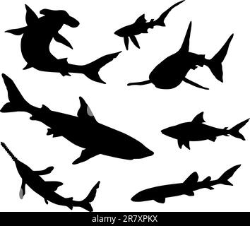 Vector silhouettes of sharks Stock Vector