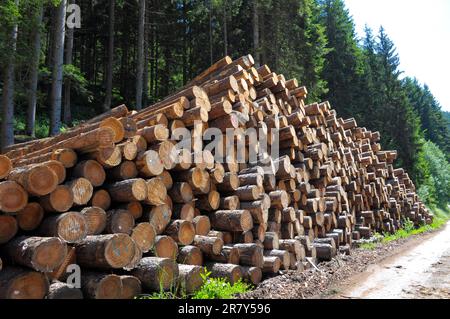 Fallen tree trunks on a forest path, near in the Black Forest, Baden-Wuerttemberg, Germany Stock Photo