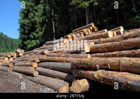 Fallen tree trunks on a forest path, near in the Black Forest, Baden-Wuerttemberg, Germany Stock Photo