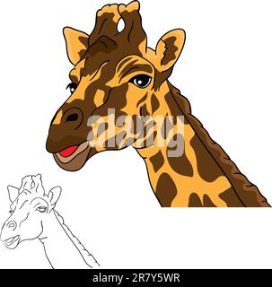 Giraffe head isolated on white background. Hand drawn vector ...
