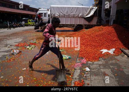 Kathmandu, NE, Nepal. 18th June, 2023. Nepali farmers throw tomatoes on the road demanding fair market price at Kalimati Vegetable Market in Kathmandu, Nepal on June 18, 2023. According to Binaya Shrestha, the information officer of Kalimati Fruit and Vegetable Market Development Board, around 30, 000 kilograms tomatoes were thrown on the road on Sunday. (Credit Image: © Aryan Dhimal/ZUMA Press Wire) EDITORIAL USAGE ONLY! Not for Commercial USAGE! Stock Photo