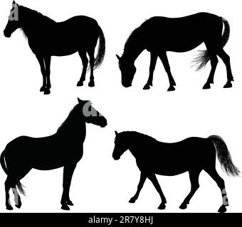 Detailed horse silhouettes collection 7000x6329. Vector eps8 Stock Vector