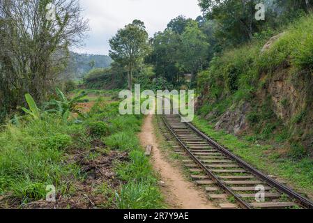Rail tracks from the Main Line, a major railway line in the rail network of the country, in the highlands of Sri Lanka. Cross-country it is leading Stock Photo