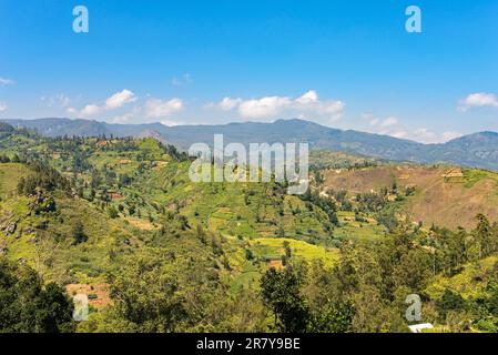 On the way to Nuwara Eliya. Due to the soil fertility and the temperate climate in the highlands, the widespread growing of tea, vegetables, fruit Stock Photo