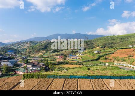 Due to the soil fertility and the temperate climate of Nuwara Eliyas countryside in the highlands of Sri Lanka, the widespread growing of tea Stock Photo