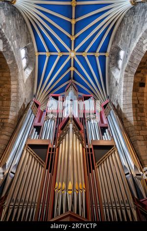 Pipe organ and tierceron vault in St. Giles Cathedral interior in Edinburgh, Scotland, UK. Musical instrument made by Rieger Orgelbau and completed in Stock Photo