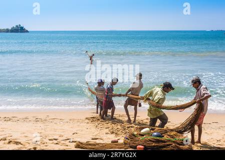 Widespread technique of fishery at the beaches of Sri Lanka. Many fishermen pull the seine net out of the sea Stock Photo