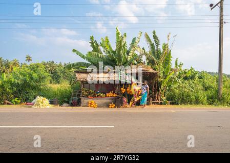 Woman at market stall with corncob and coconut selling, in the village Talalla. Plenty of stalls sell fruits, nuts and vegetables on the streets Stock Photo