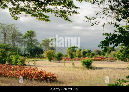 Taitung Forest Park in Taitung, Taiwan Stock Photo