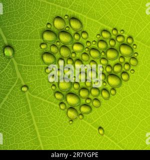 Heart shape dew drops on green leaf. Vector illustration, EPS10 Stock Vector