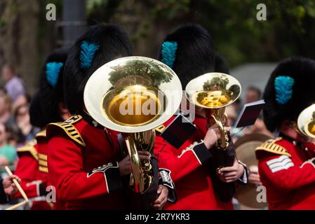 Band of the Irish Guards marching at Trooping the Colour in The Mall, London, UK. Reflection of The Mall in polished brass instrument Stock Photo
