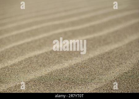 a closeup abstract macro image of waves carved into beach sand by the wind. Stock Photo