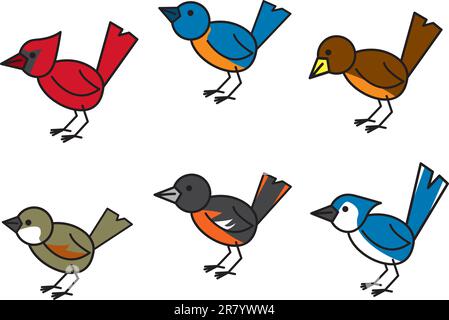 Six common and popular birds found throughout north american residential areas. Stock Vector