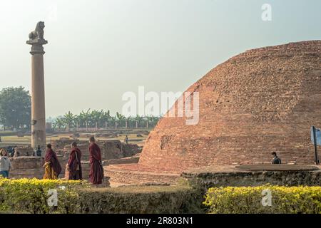 12 19 2014 Vintage Brick Stupa And Lion Pillar Kolhua Vaishali Bihar India Asia. Stock Photo