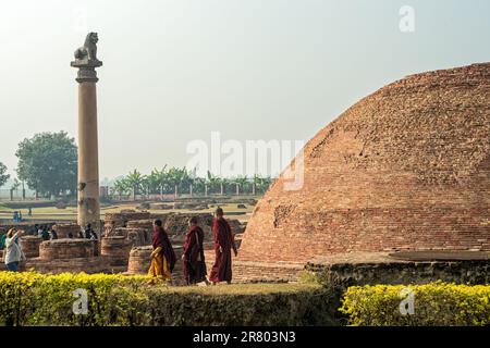 12 19 2014 Vintage Brick Stupa And Lion Pillar Kolhua Vaishali Bihar India Asia. Stock Photo