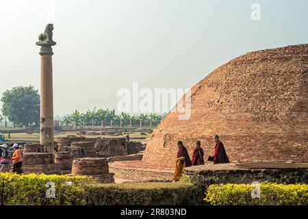 12 19 2014 Vintage Brick Stupa And Lion Pillar Kolhua Vaishali Bihar India Asia. Stock Photo